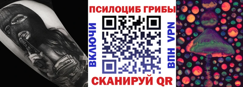 Псилоцибиновые грибы мицелий хочу hydra маркетплейс Заозёрск